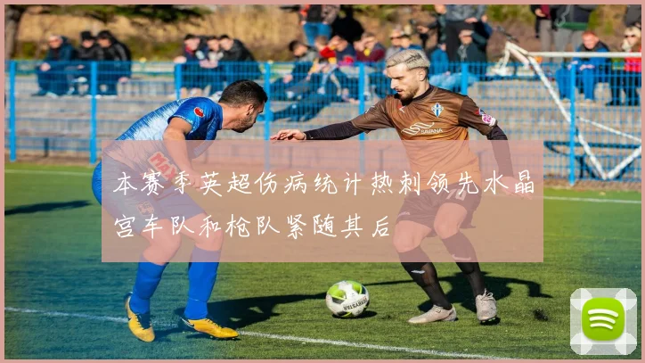 本赛季英超伤病统计热刺领先水晶宫车队和枪队紧随其后