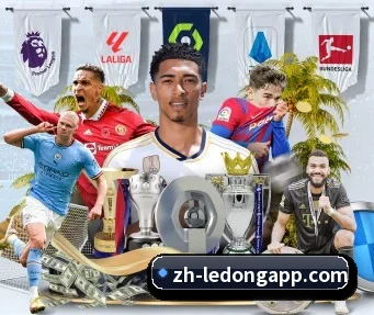 乐动体育 APP